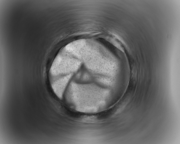 X0000088440403200706121512