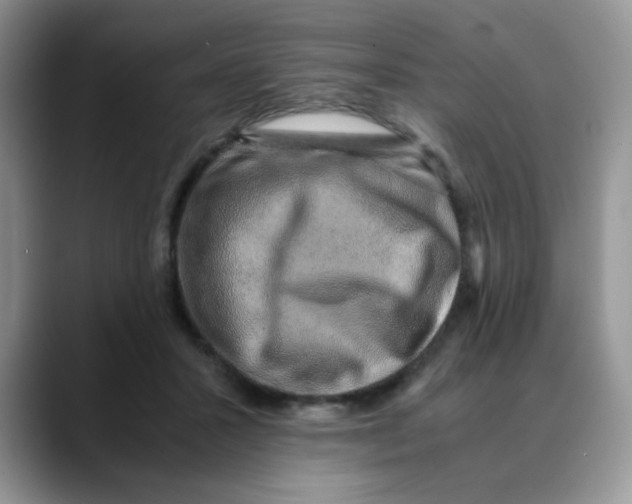 X0000088440407200706121512