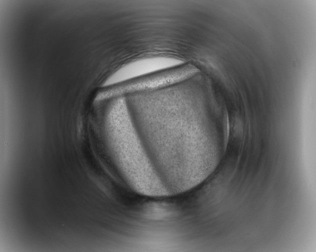 X0000088440408200706121512