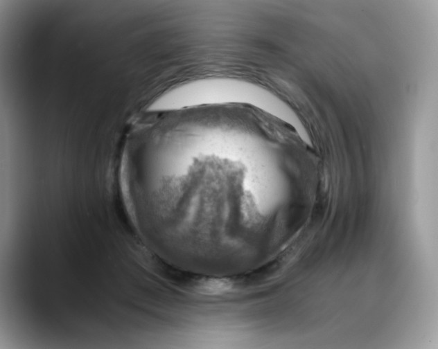 X0000088440409200706121512