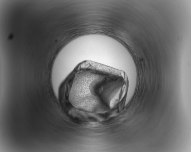 X0000088440411200706121512