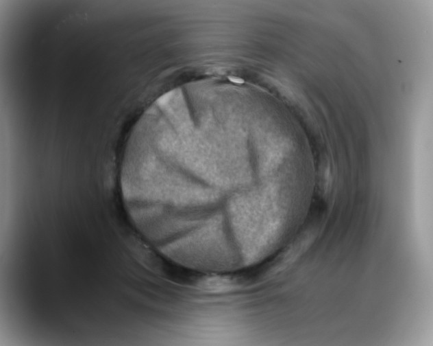 X0000088440413200706121512