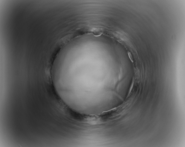 X0000088440415200706121512