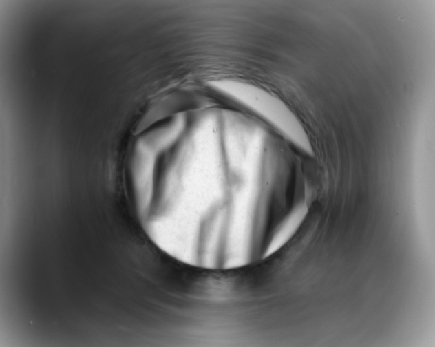 X0000088440416200706121512