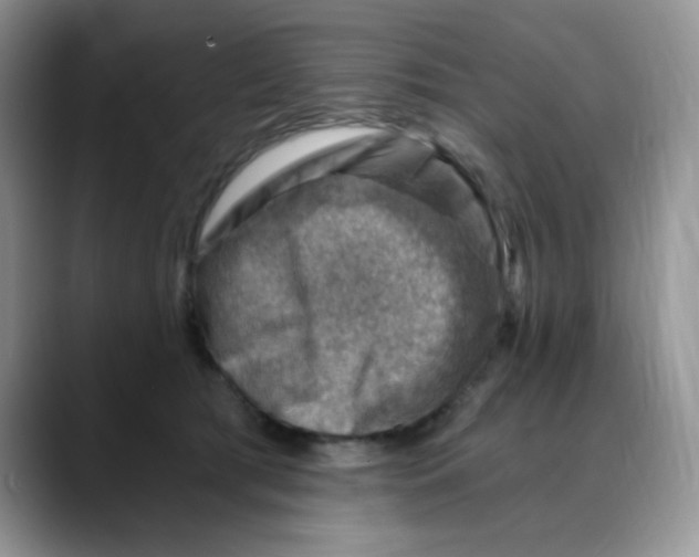 X0000088440417200706121512