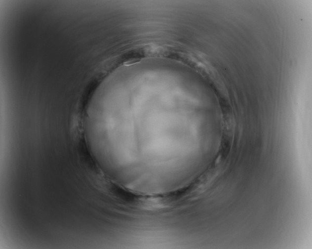 X0000088440419200706121512