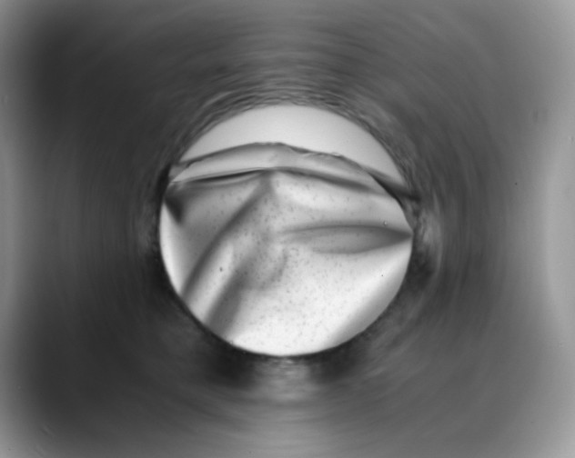 X0000088440421200706121512