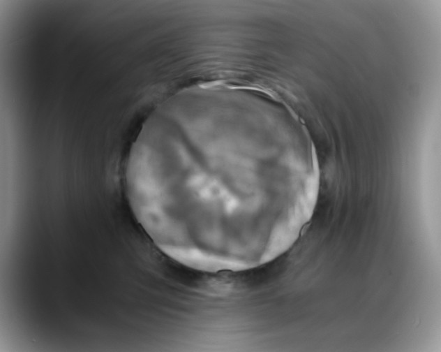 X0000088440423200706121512