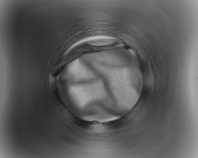 X0000088440425200706121512