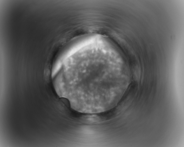X0000088440427200706121512