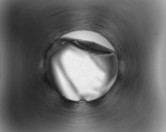 X0000088440428200706121512
