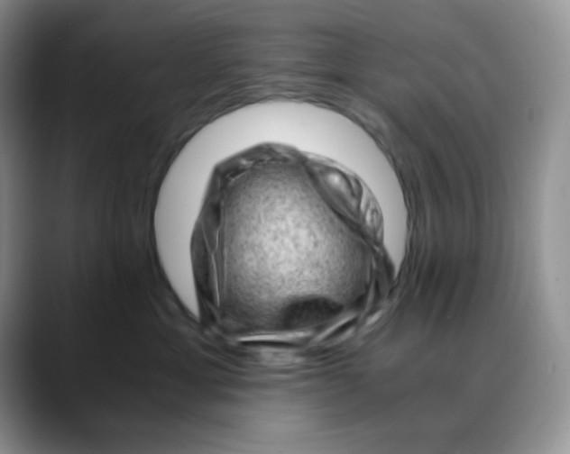 X0000088440429200706121512