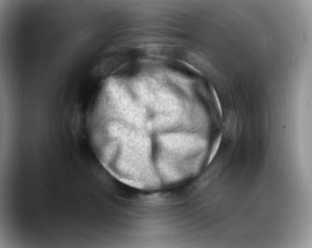 X0000088440430200706121512