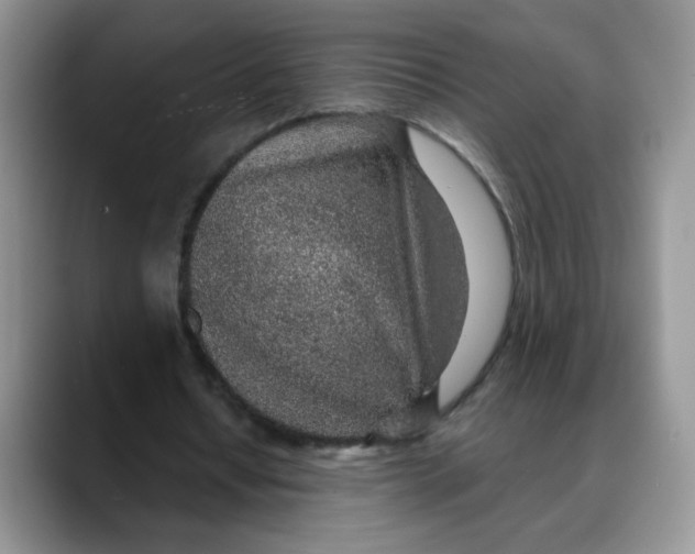 X0000088440434200706121511