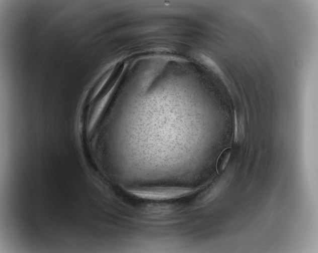 X0000088440435200706121511