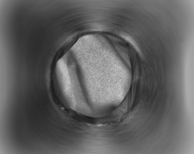 X0000088440436200706121511