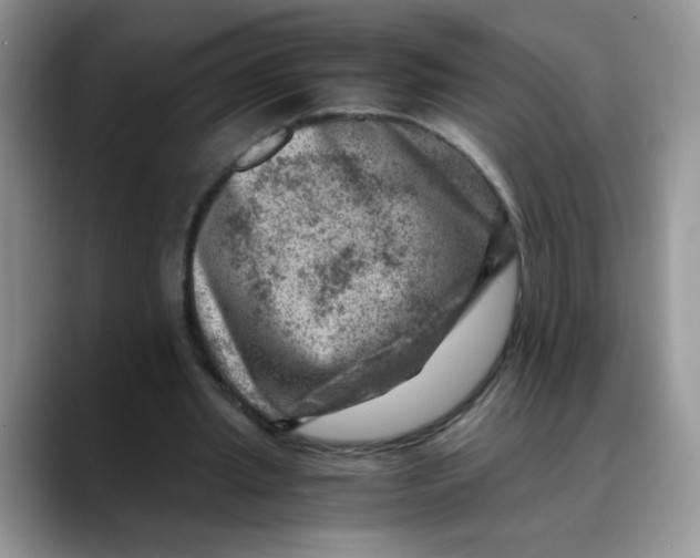 X0000088440437200706121511