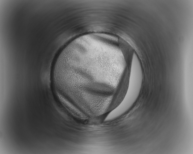 X0000088440438200706121511