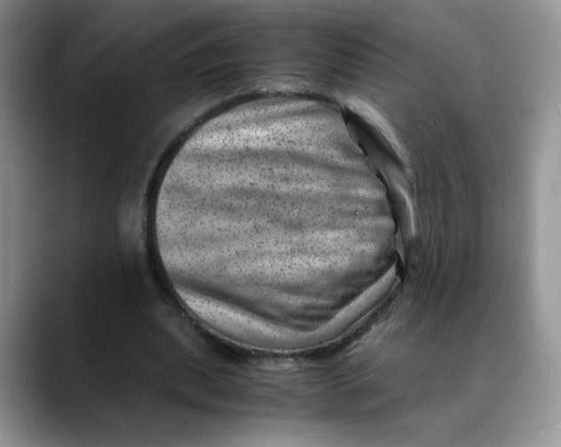 X0000088440439200706121511