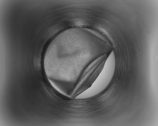 X0000088440443200706121512