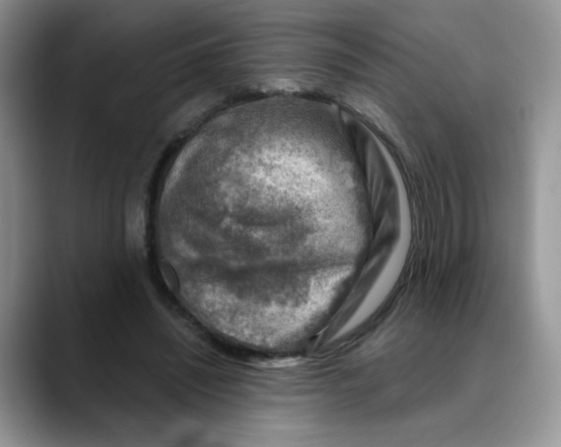 X0000088440444200706121512