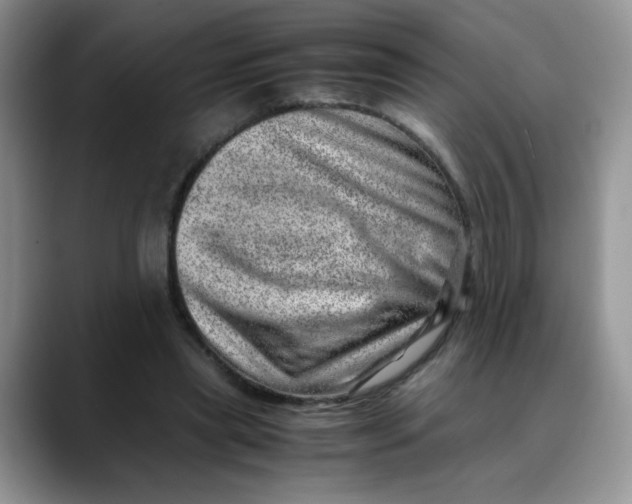 X0000088440445200706121512