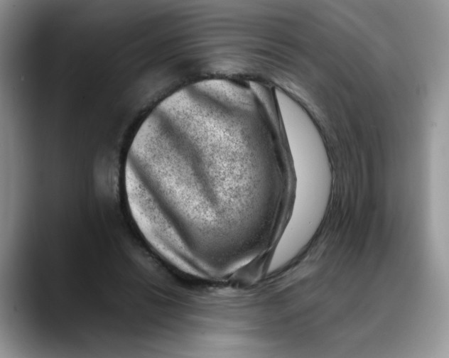 X0000088440446200706121512