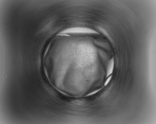X0000088440447200706121512