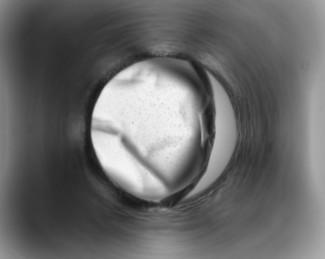 X0000088440448200706121512