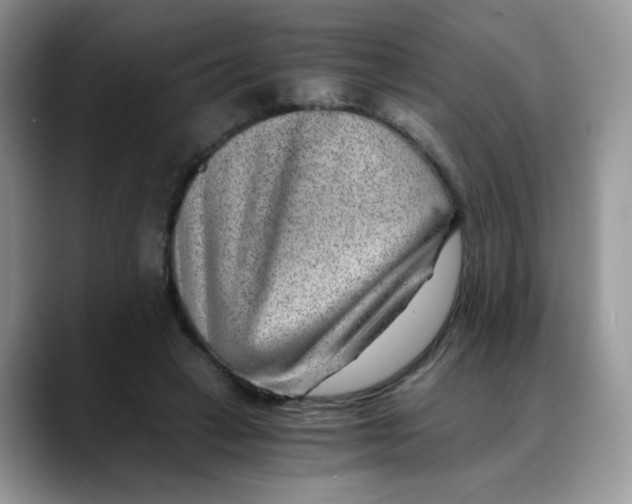 X0000088440449200706121512