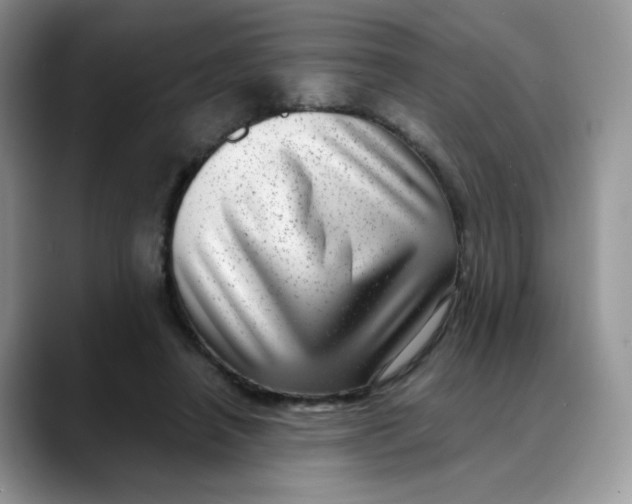 X0000088440450200706121512