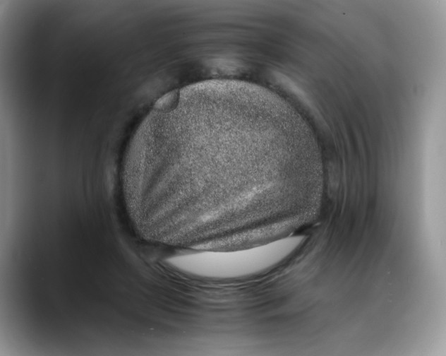 X0000088440451200706121512