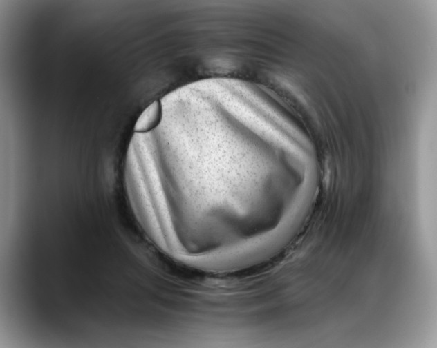 X0000088440455200706121512