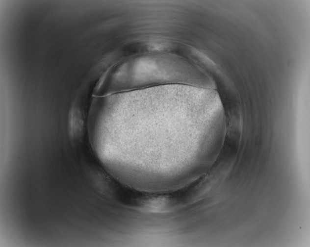 X0000088440456200706121512