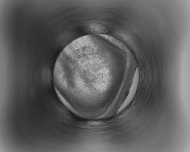 X0000088440457200706121512