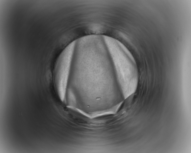 X0000088440459200706121512