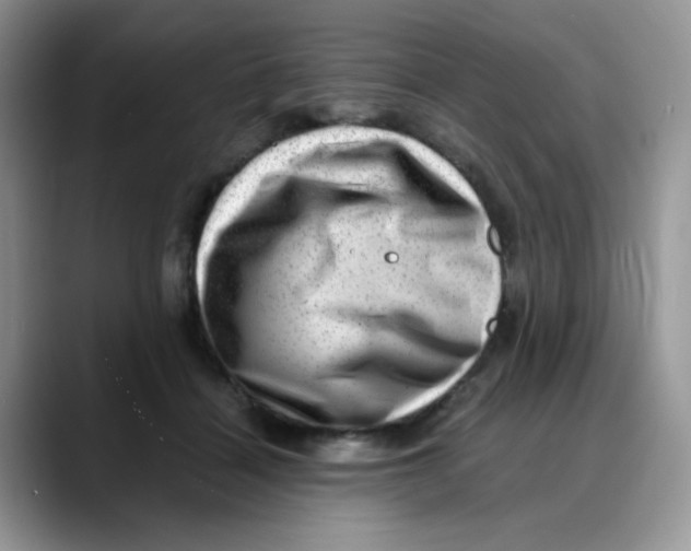 X0000088440460200706121512