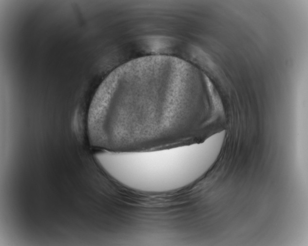 X0000088440461200706121512
