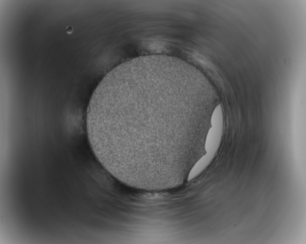 X0000088440465200706121512