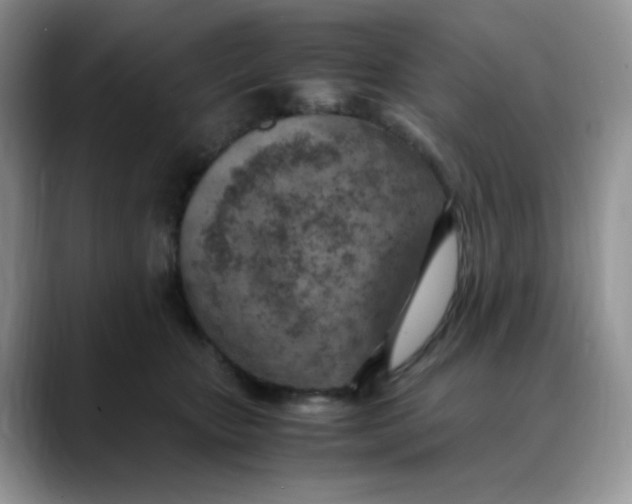 X0000088440467200706121512