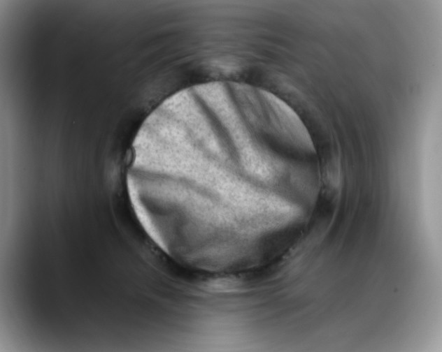 X0000088440468200706121512