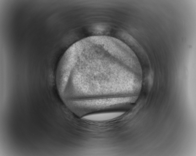 X0000088440469200706121512
