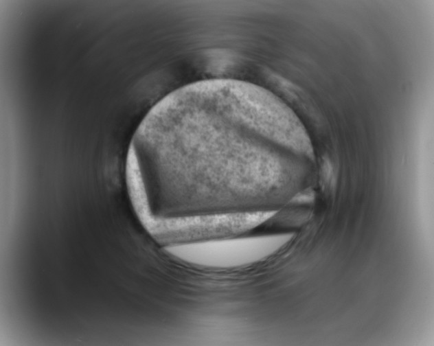 X0000088440470200706121512