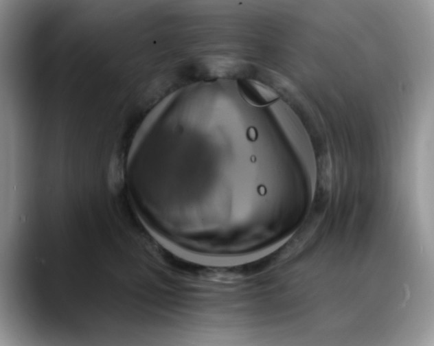 X0000088440471200706121512