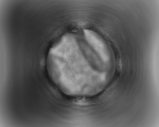 X0000088440472200706121512