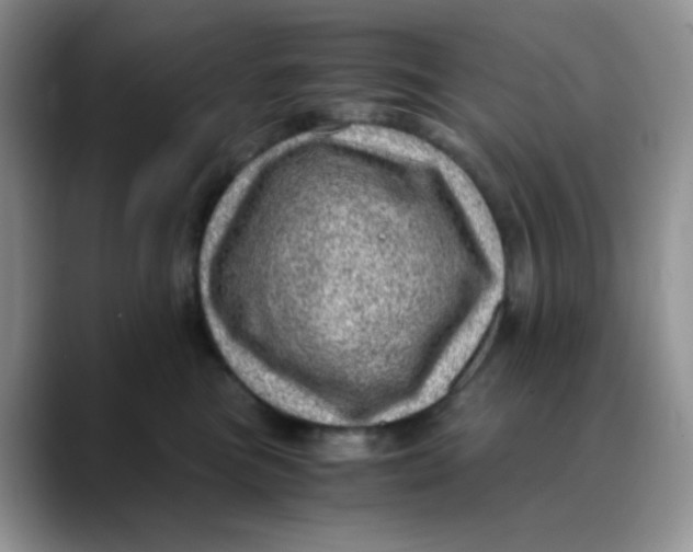 X0000088440473200706121512