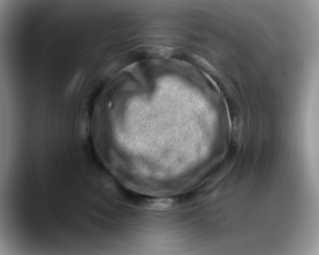 X0000088440474200706121512