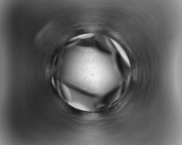 X0000088440476200706121512