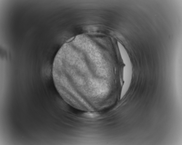 X0000088440477200706121512