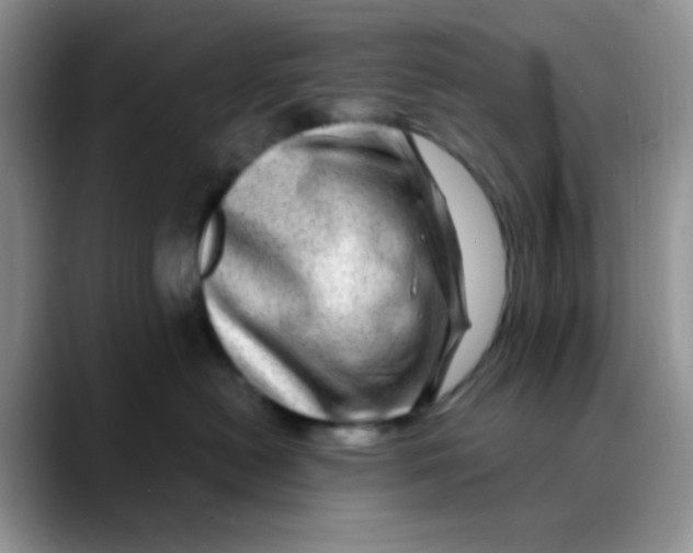 X0000088440478200706121512